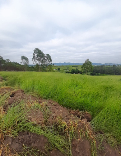 Imagem 7 de 18 de C05 Terrenos A Venda Venha Investir Para Você E Sua Família!