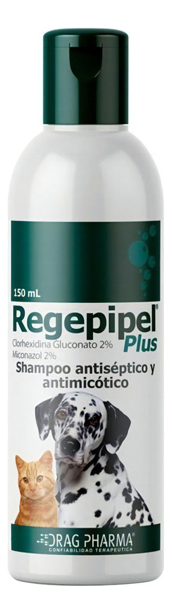 Regepipel Shampoo Perro Gato Antiséptico Y Antimicótico