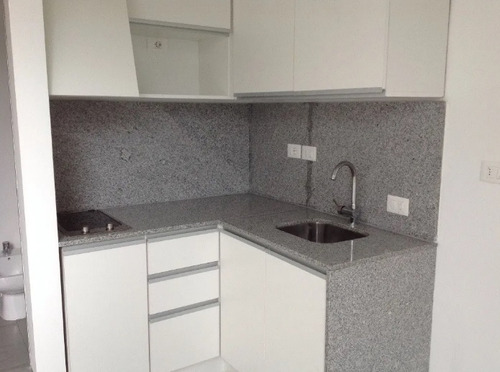 Imagen 4 de 16 de Venta Apartamento Loft Punta Carretas Terraza Y Parrillero