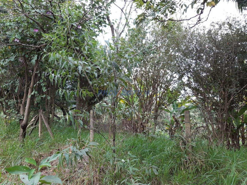 Imagem 2 de 11 de Terreno À Venda Em Jardim Monte Belo - Te268331