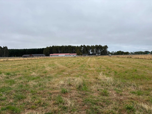 Venta De Parcela En Frutillar (172561)
