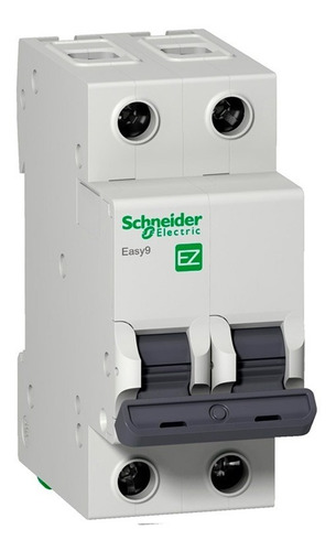 Disjuntor Bipolar 63a Curva C - Schneider Electric