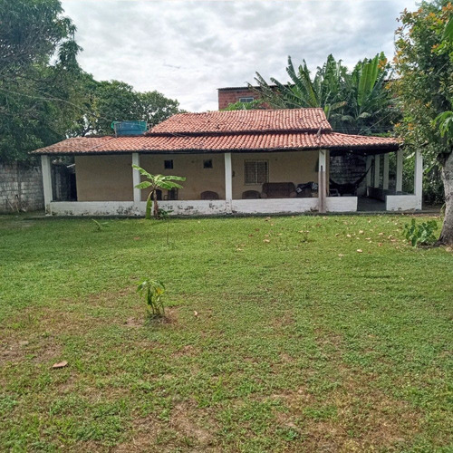 Imagem 9 de 14 de Vendo Mini-chácara Localizada Na Pavuna-ce