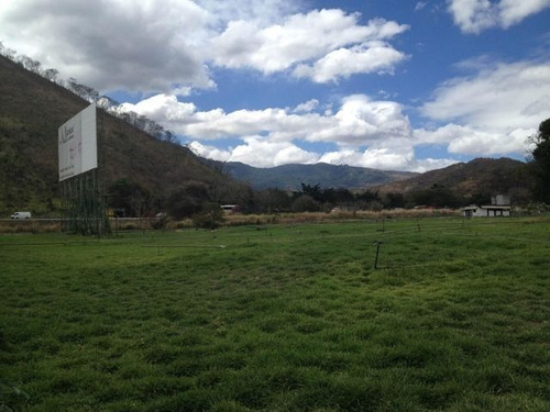Imagen 9 de 12 de Terreno En Venta En La Arc, El Consejo Dvm 22-15689