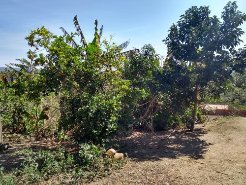 Imagem 16 de 25 de Chácara 13 Mil M2, Casa Sede Com 3 Dormitórios, 1 Suíte, Poço Artesiano, Pomar, Cozinha Americana - Ch00124 - 69942096