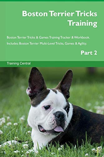 Boston Terrier Tricks Training Boston Terrier Tricks  Y  Gam