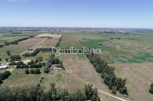 Imagen 14 de 28 de Terreno En Venta O Permuta Ubicado En General Rodríguez, General Rodríguez
