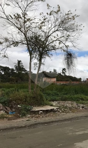 Imagem 12 de 17 de Terreno Residencial À Venda, Cidade Boa Vista, Suzano. - Reo326389