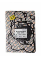 Comprar Jgo Juntas Corven Touring 250 Meguelli 250 Gerrero Grf 250 En Xero Racing