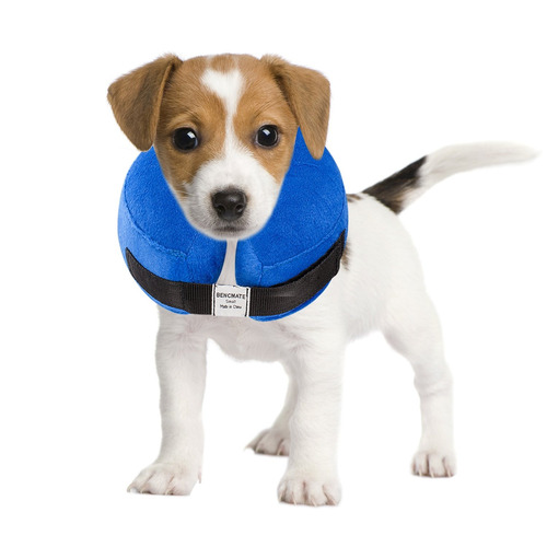 Collar Protector Inflable Para Perros Y Gatos Collar De 