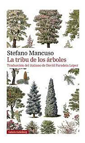 Libro La Tribu De Los Árboles