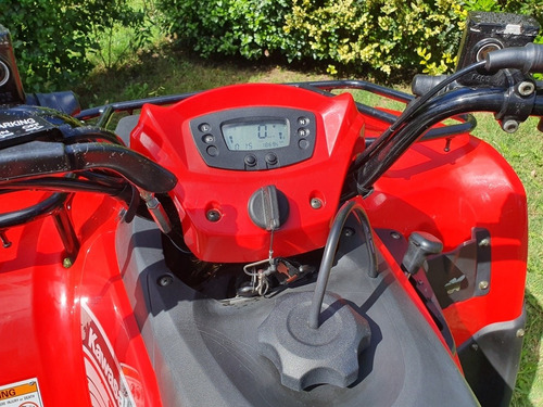 Kawasaki Brute Force 300