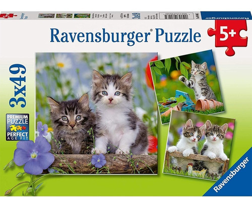 Rompecabezas Ravensburger 3 En 1 Pequeños Gatitos 147 Piezas