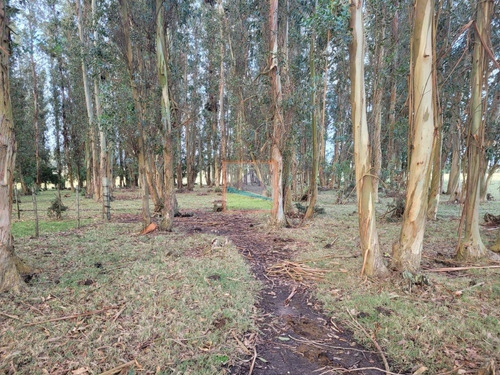 Imagen 24 de 26 de Campo De 34 Hás Con Casa Ruta 12 Pueblo Edén
