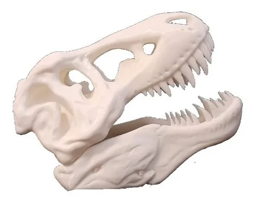 Cabeza T-rex Plastico 3d Cara Dinosaurio Hueso Trex Cabeza T-rex Plastico 3d Cara Dinosaurio Hueso Trex