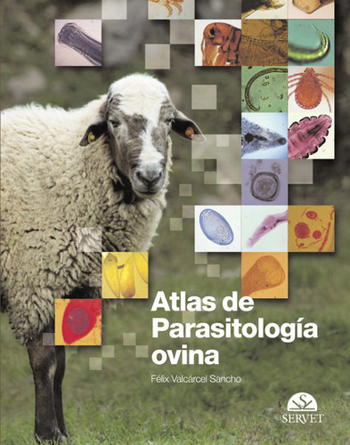 Atlas De Parasitología Ovina (libro Original)