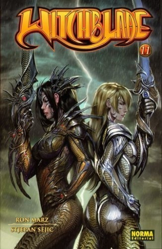 Witchblade 11 / Ron Marz / Enviamos 