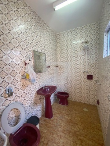 Imagem 23 de 24 de Casa Pauliceia Venda - Ca01533 - 70154457