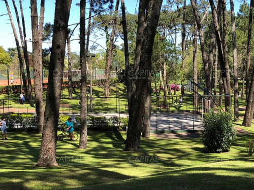 Apartamento De Un Dormitorio Con Vista Al Mar, Playa Mansa, Punta Del Este