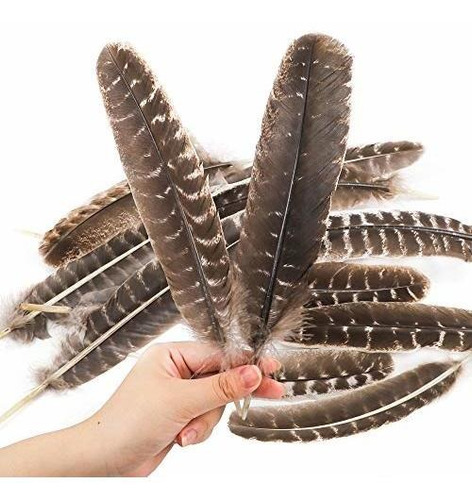 Outuxed 15 Pluma Pavo Natural Para Idad Diy Decoracion