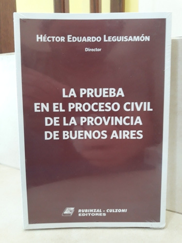 Derecho Prueba En Proceso Civil Pcia Buenos Aires Leguisamón