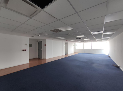 Oficina En Renta -reforma Piso 10- 214 M2