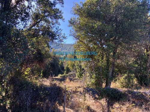Imagen 4 de 23 de Terreno - Meliquina
