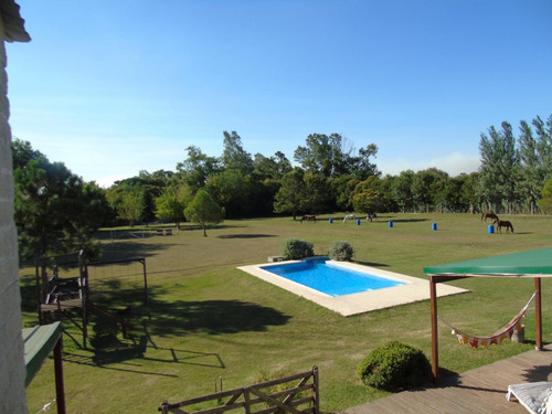 Imagen 5 de 30 de Casa En Venta En Villa Elisa Calle 403 E/ 136 Y Fortunato Belén - Dacal Bienes Raices