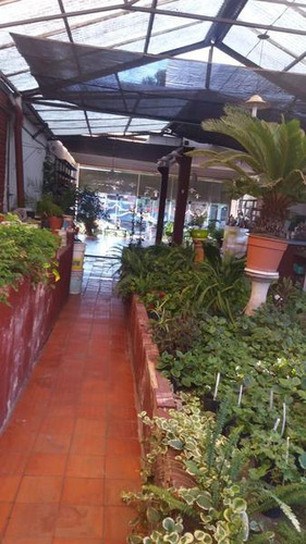 Venta Lote De 13 X 43m² Apróx. C/2 Locales 2 Propiedades S/av. Gaona