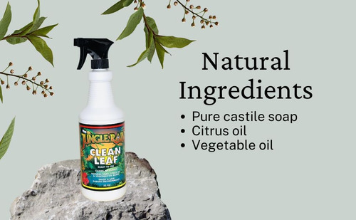 Jungle Rain Clean Leaf - Limpiador De Follaje Natural Con Ac