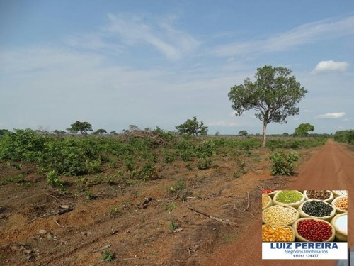 Imagem 1 de 15 de Fazenda A Venda De 126 Alqueirões Em Araguacema - To, ( Agricultura ) - 580