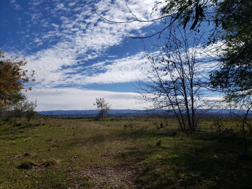 Imagen 2 de 29 de Campo En Venta Santa Teresa, La Cumbrecita