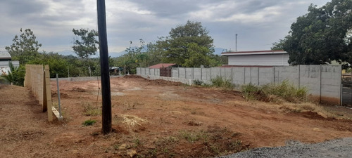 Imagen 3 de 4 de Venta De Lote