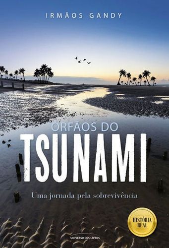 Orfãos Do Tsunami: Uma Jornada Pela Sobrevivencia, De Forkan, Rob. Editora Universo Dos Livros, Capa Mole, Edição 1ªedição -2016 Em Português