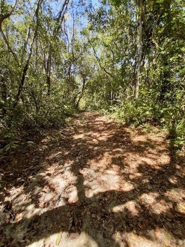 Imagem 5 de 10 de Chácara Com 1 Dormitório À Venda, 20000 M² Por R$ 295.000,00 - Zona Rural - Abadiânia/go - Ch0109