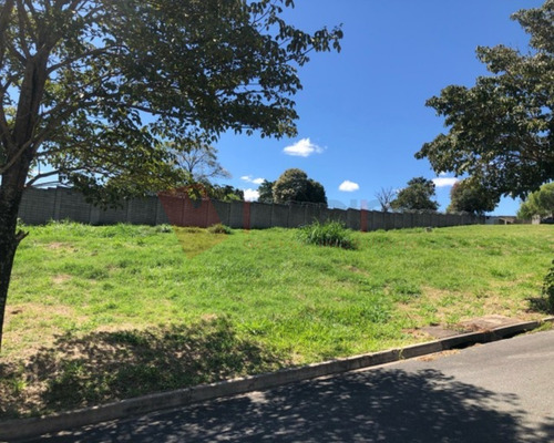 Imagem 3 de 8 de Terreno - 2027 - 69690028