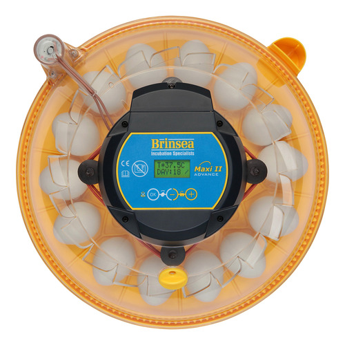 Brinsea Maxi 24 Advance Incubadora Automática