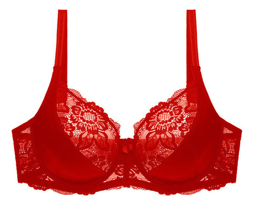 Brasier Copa Completa Con Aros Talla Grande Encaje Delimira