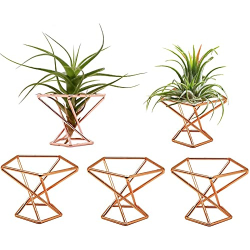 Soporte Geométrico Plantas Aéreas, Soporte De Metal P...