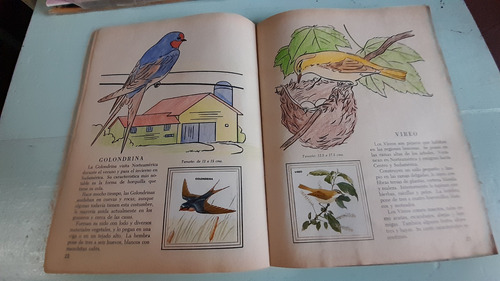 Álbum Figuritas Completo Galería De Pájaros De México (Usado)