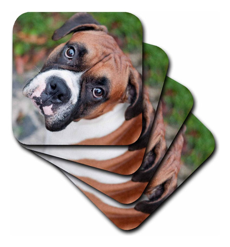 3drose Cst__2 Lindo Retrato De Perro Boxer Canino Posavasos