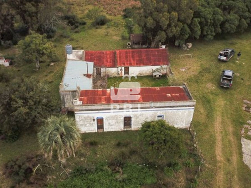 Imagen 1 de 23 de Chacra En Venta Las Cañas 3 Dormitorios - Ref : Pbi1699
