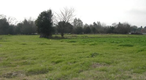 Imagen 11 de 13 de Terreno - Villa Astolfi