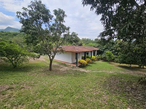 Finca En La Mesa Cundinamarca- San Joaquin
