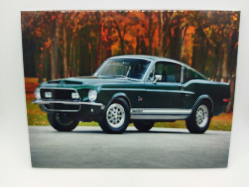 Placa Shelby Gt500 Verde 27x20cm Decoração Coleção Cars