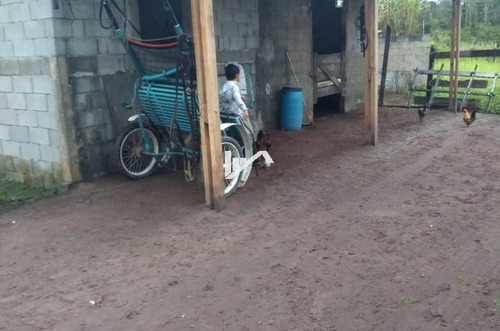 Imagem 4 de 9 de Chácara No Balneário Gaivota Em Itanhaém
