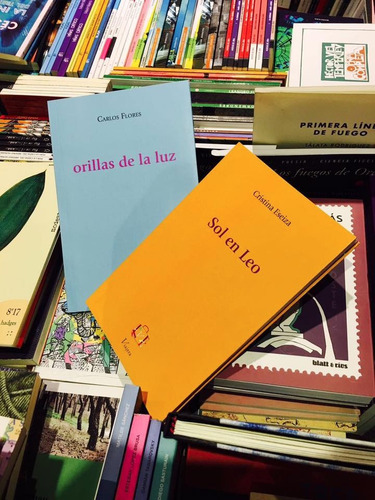 Imagen 4 de 6 de Libro Novela Sol En Leo Cristina Eseiza Viajera Editorial