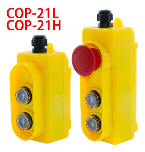 Cop-21h/cop-21