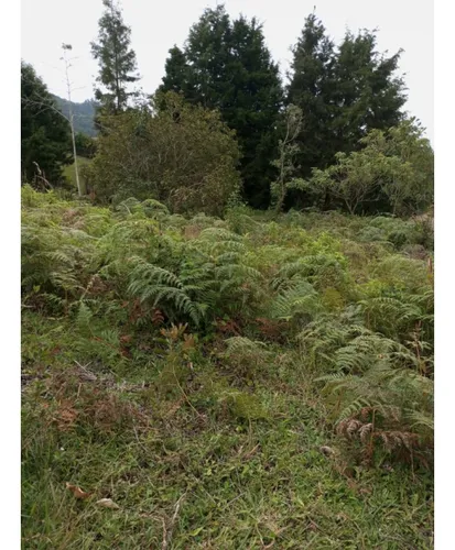 Venta De Lote En Guarne