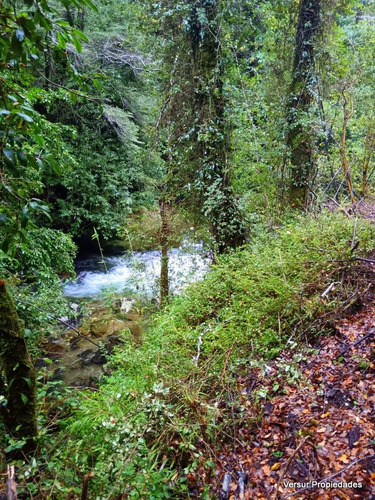 Venta Parcela Lefincul Pucón Orilla De Río